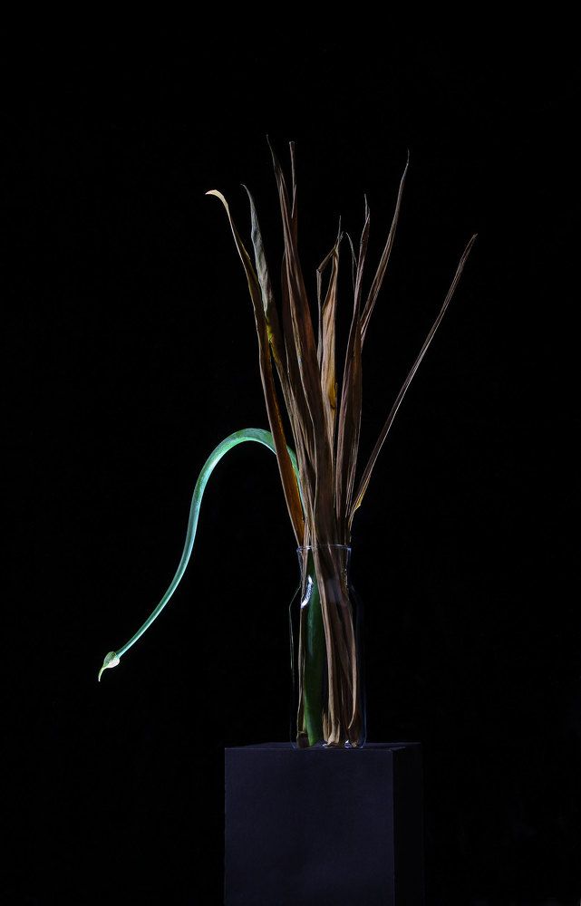 Photograph by Иванов Максим