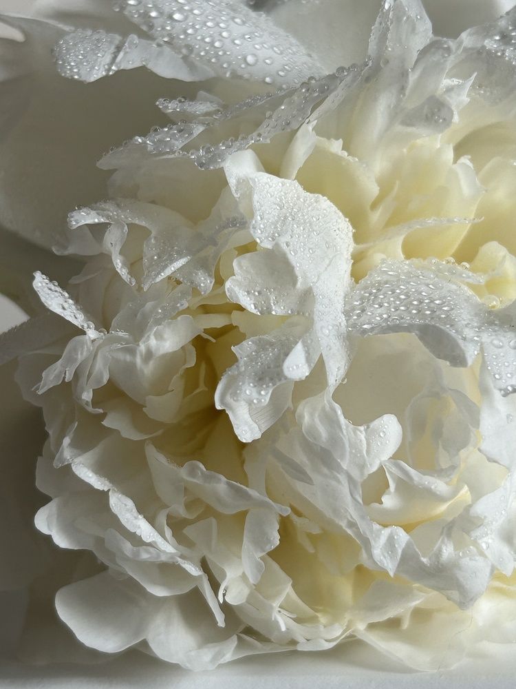 Photograph by Виталия