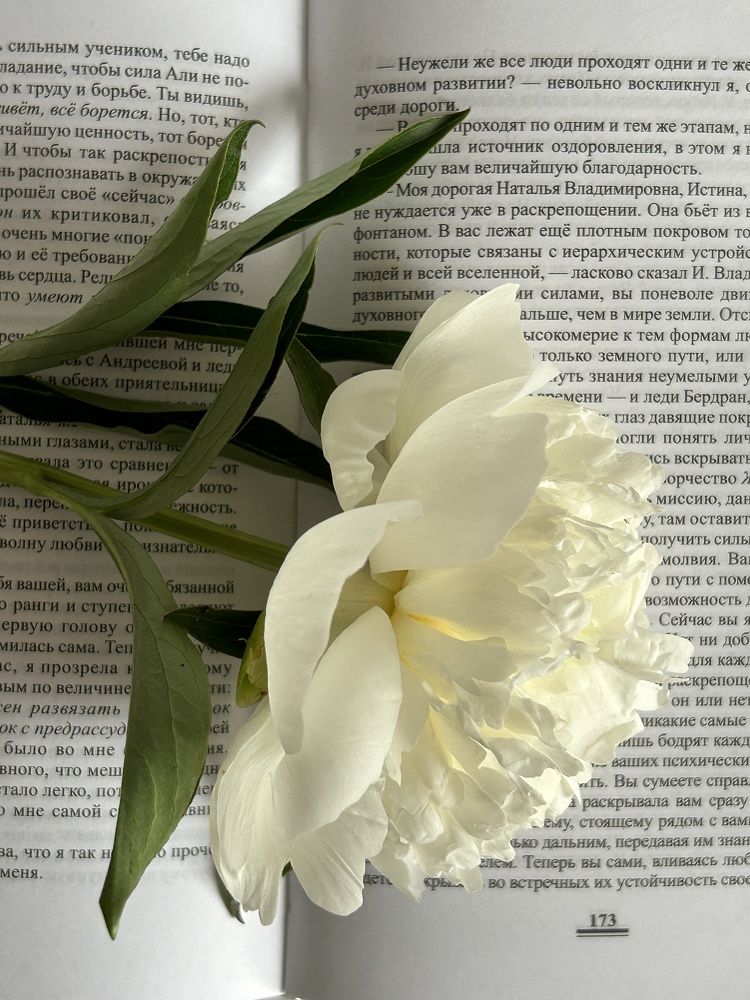 Photograph by Виталия