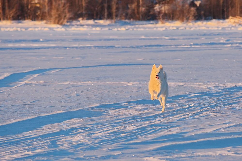 Photograph by Олег Раков