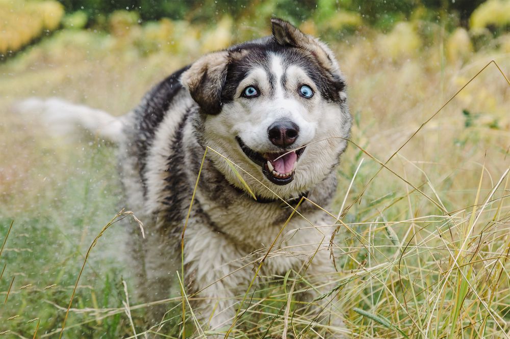 Photograph by Светлана Гущина