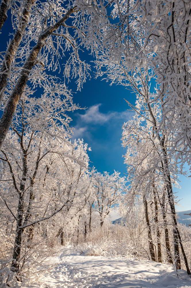 Photograph by Виктор Лагашёв