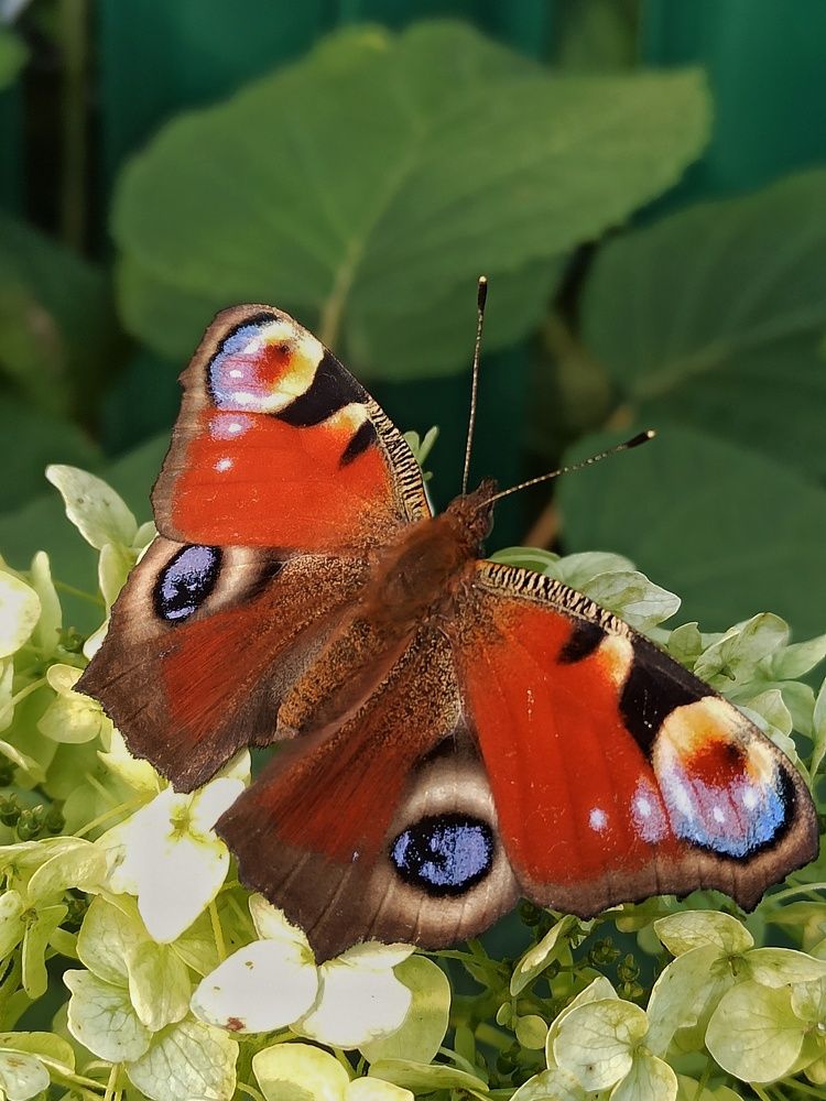 Photograph by Новикова Елена Сергеевна
