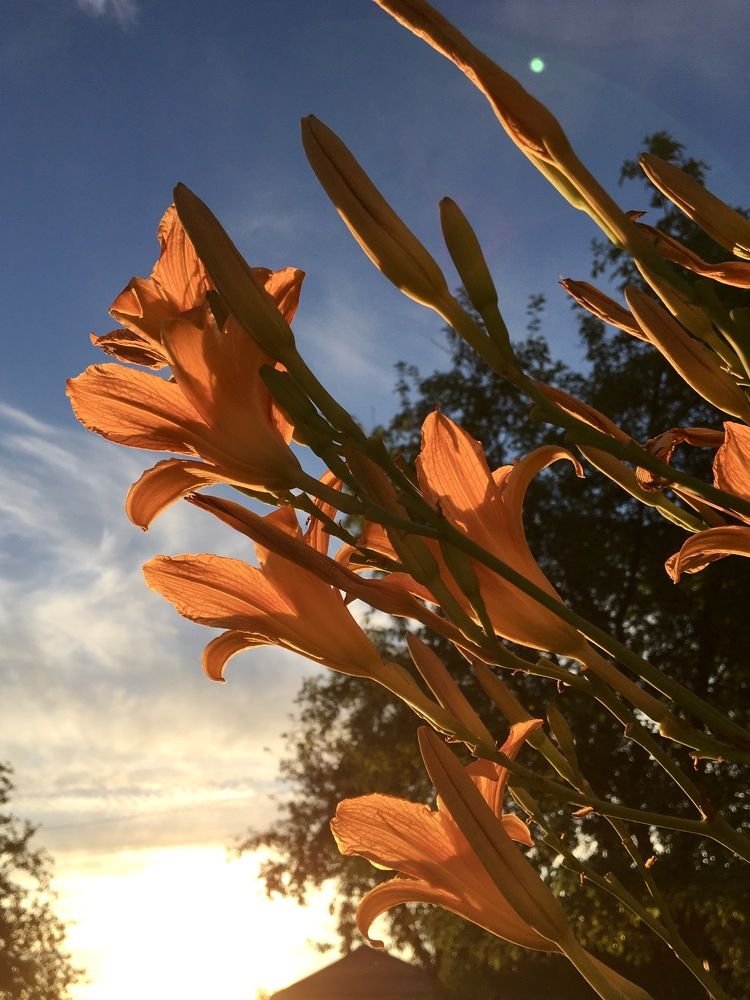 Фотография автора Бакалова Ирина