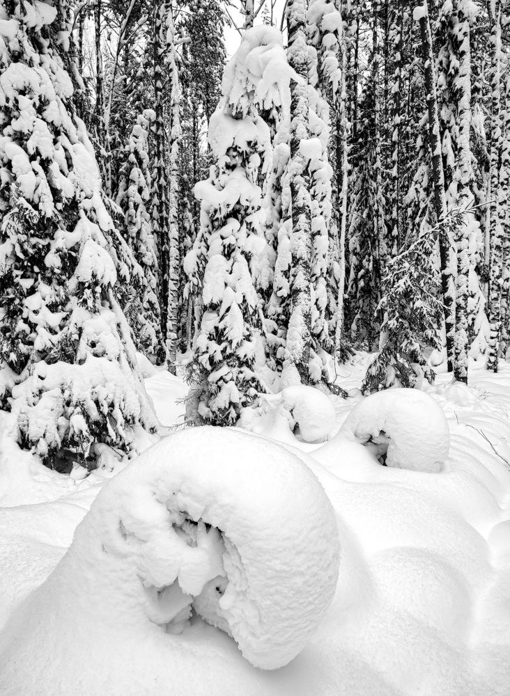 Photograph by Алёна Пшеленская