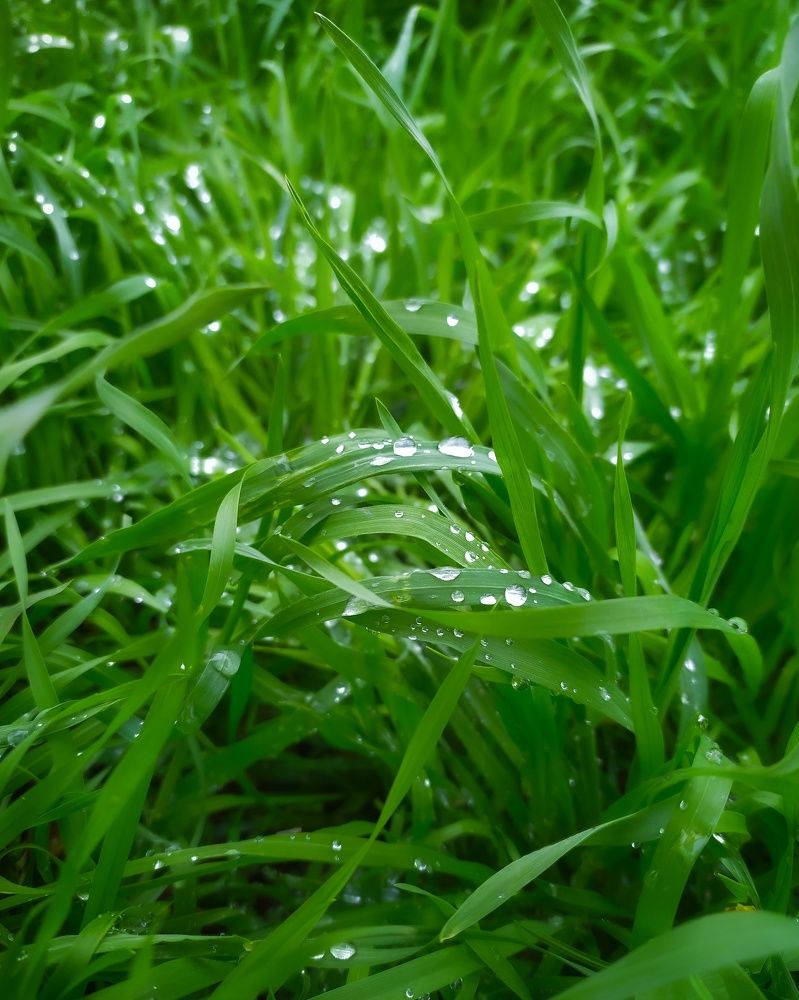 Photograph by Александр Панин