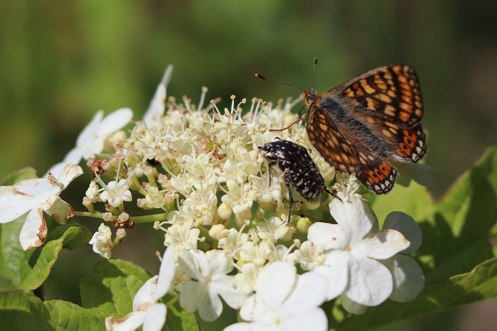 Photograph by Светлана Соколова