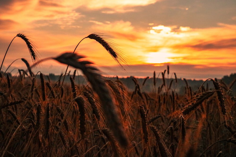 Photograph by Наталья Клячина