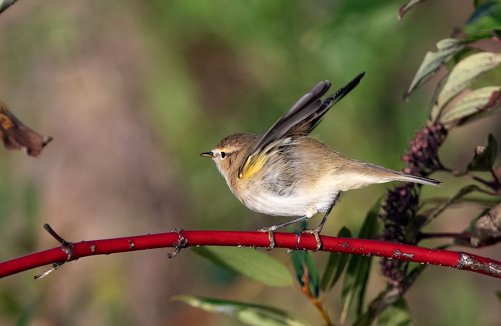 Photograph by Широких Александр