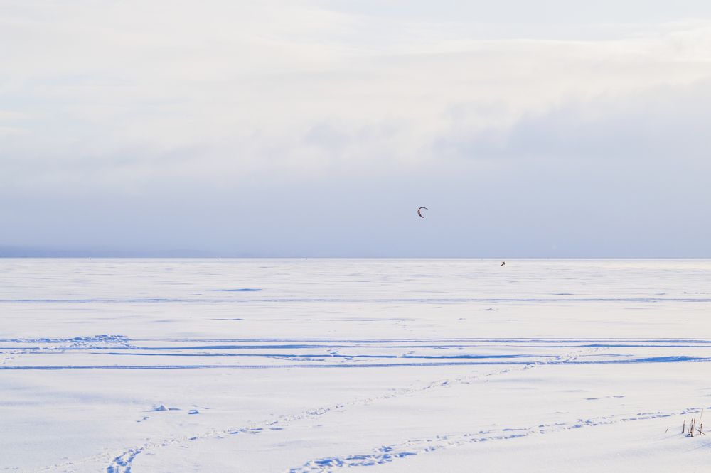 Photograph by Дарья Травкина