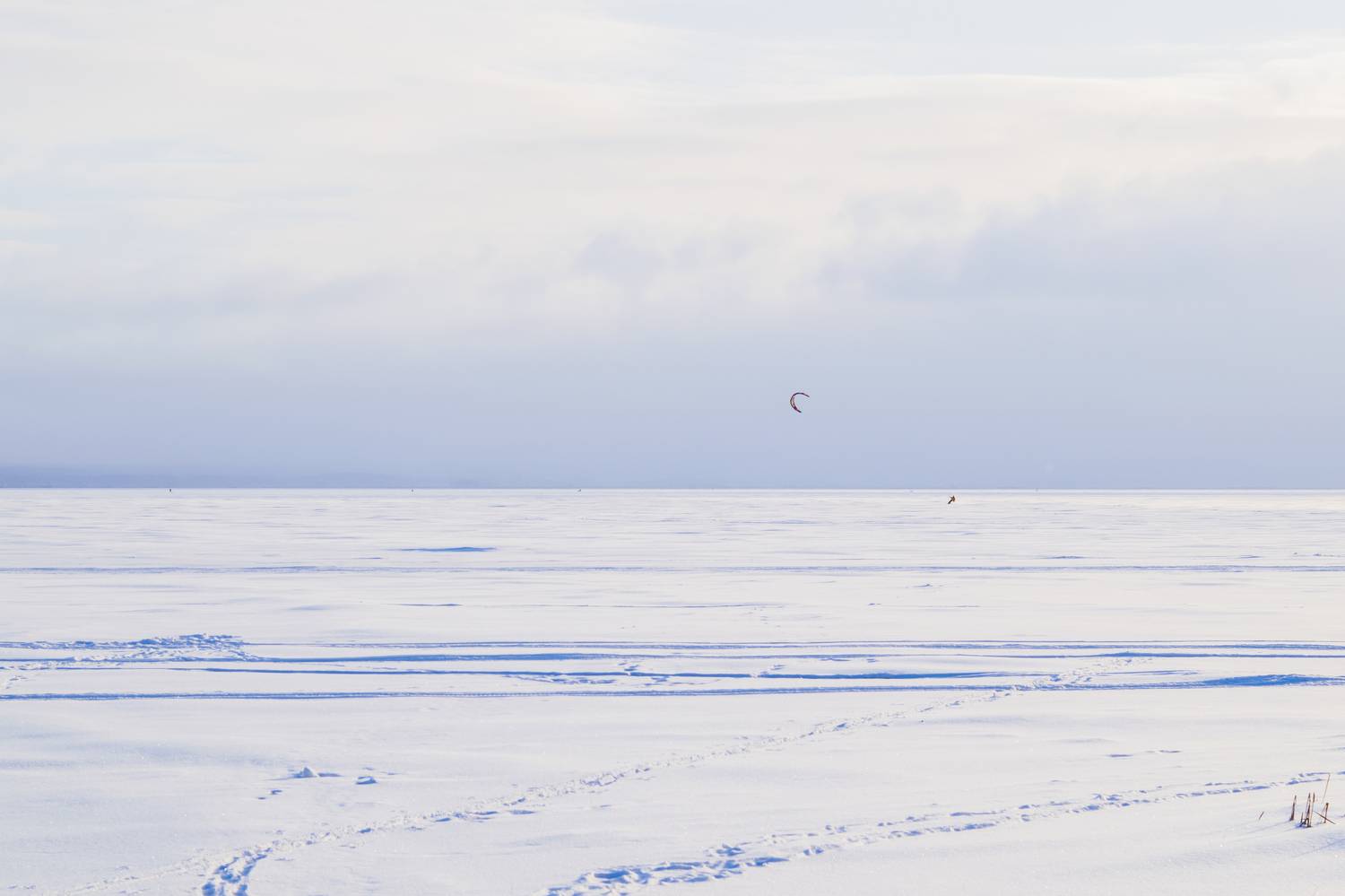Photo #9495107