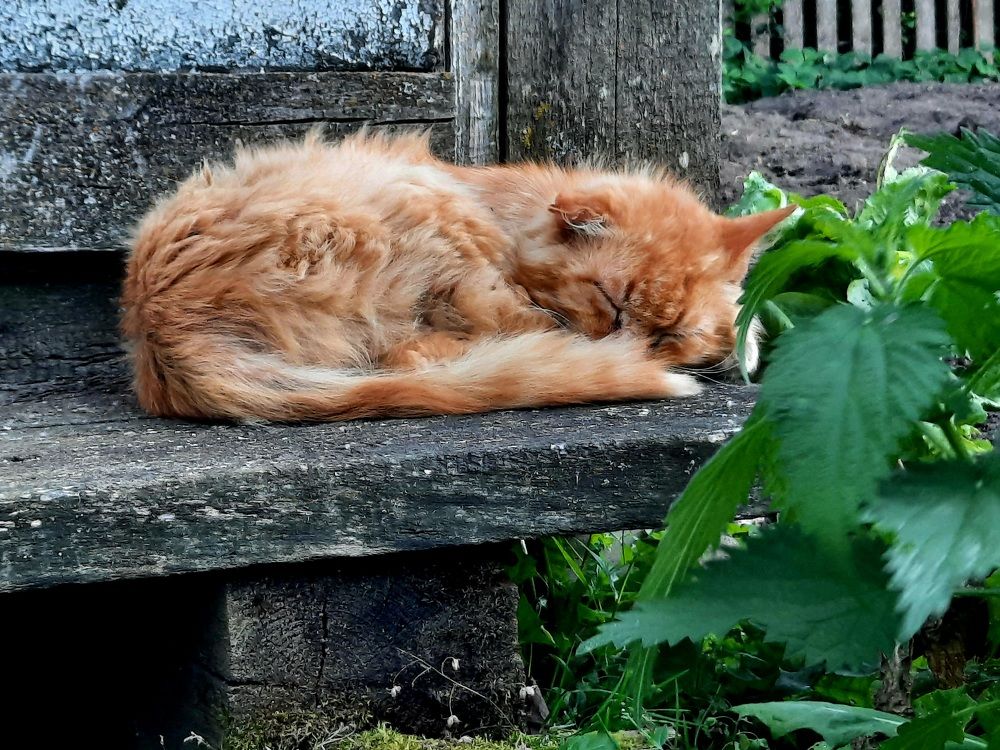 Photograph by Ольга