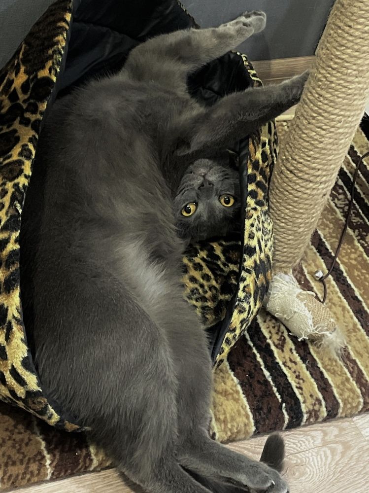 Фотография автора Татьяна