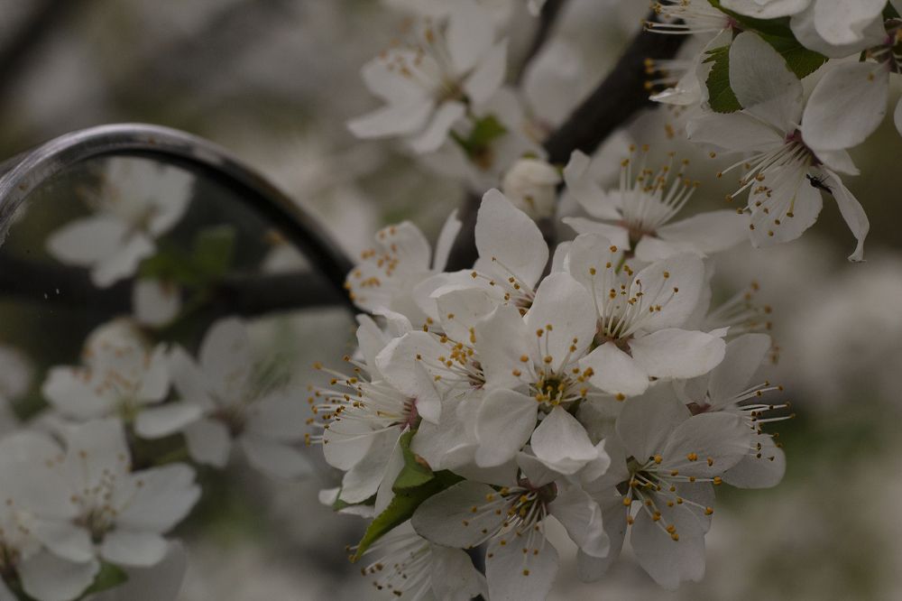 Photograph by Дарья Ващенко-Панкина