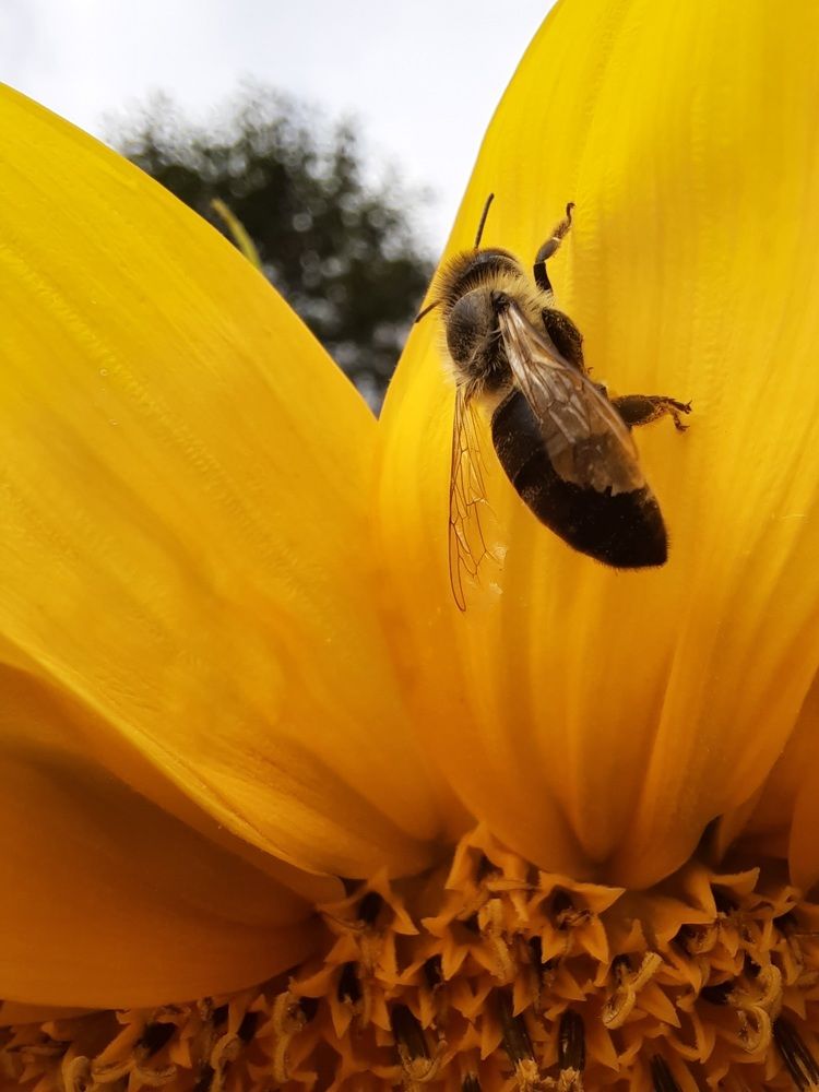 Photograph by Ольга