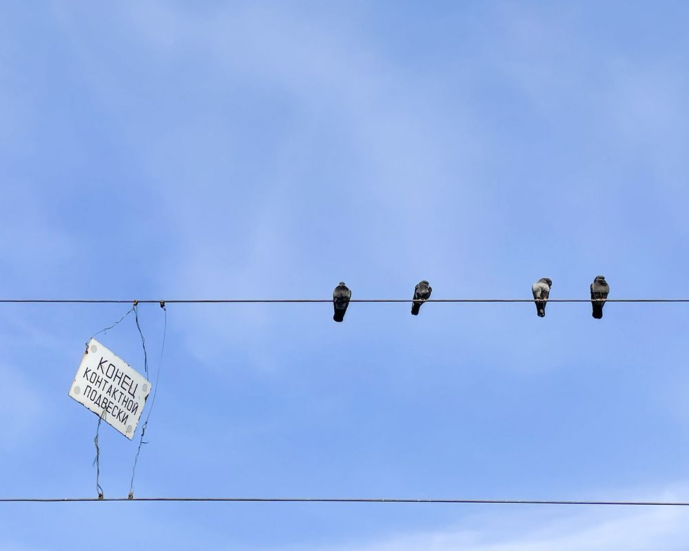 Photograph by Ольга Дорошенко