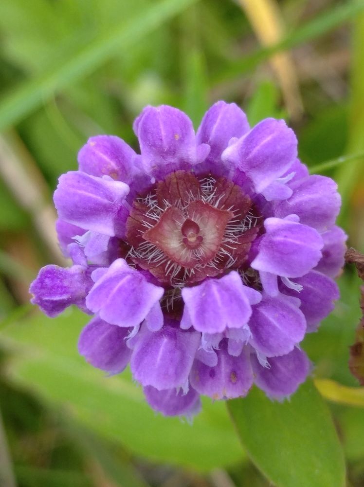 Photograph by Елена Коробченко