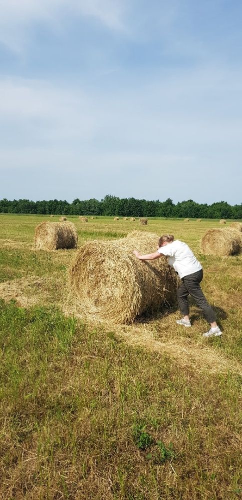 Photograph by Ольга Мусина