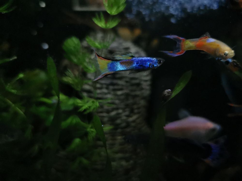 Photograph by Колоскова Мария