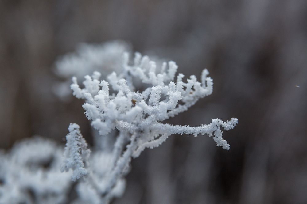 Photograph by Алексей Трифонов