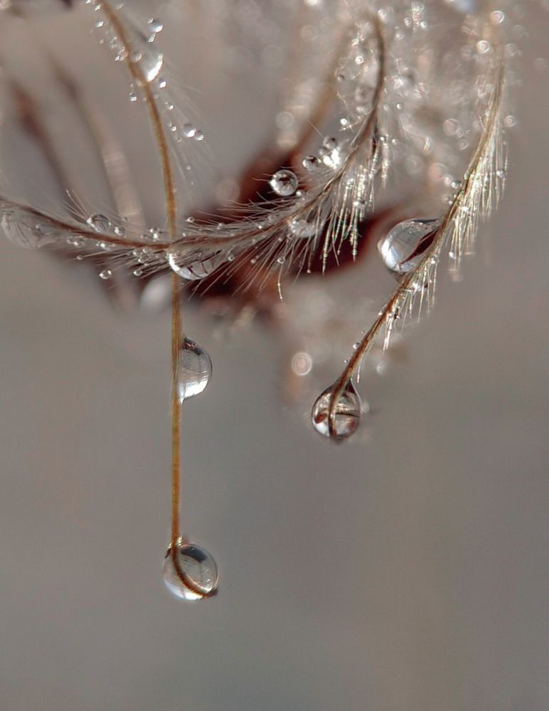 Жемчужное колье