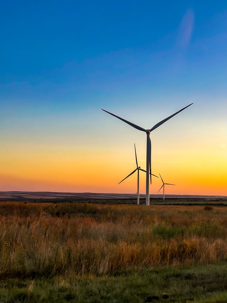 Photograph by Екатерина Слепнева