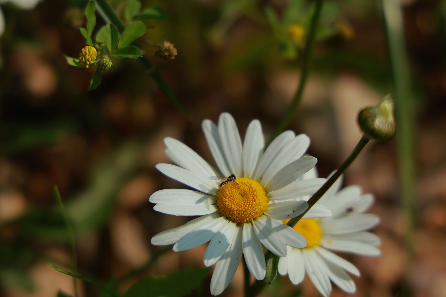 Photo #9495336