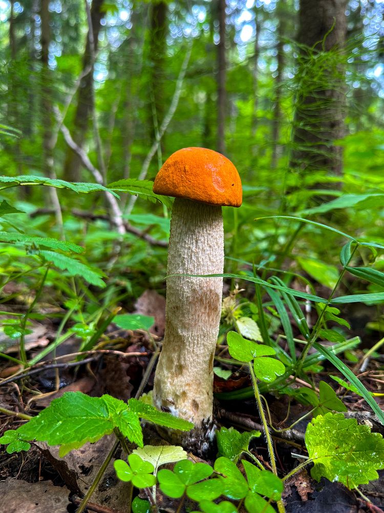 Photograph by Екатерина Слепнева