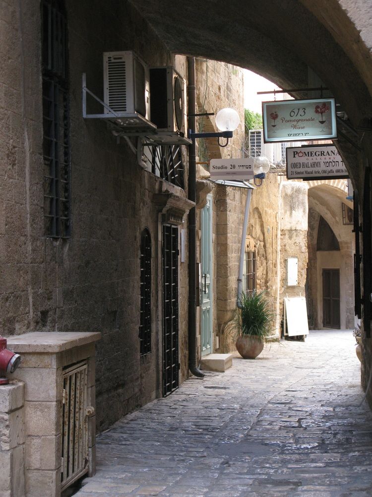 Photograph by Светлана Стрыгина