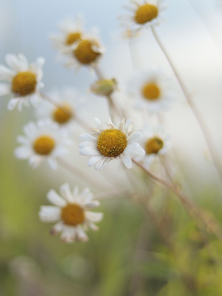 Photograph by Екатерина Слепнева