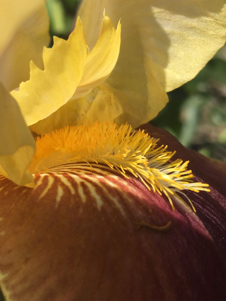 Photograph by Anastasiia