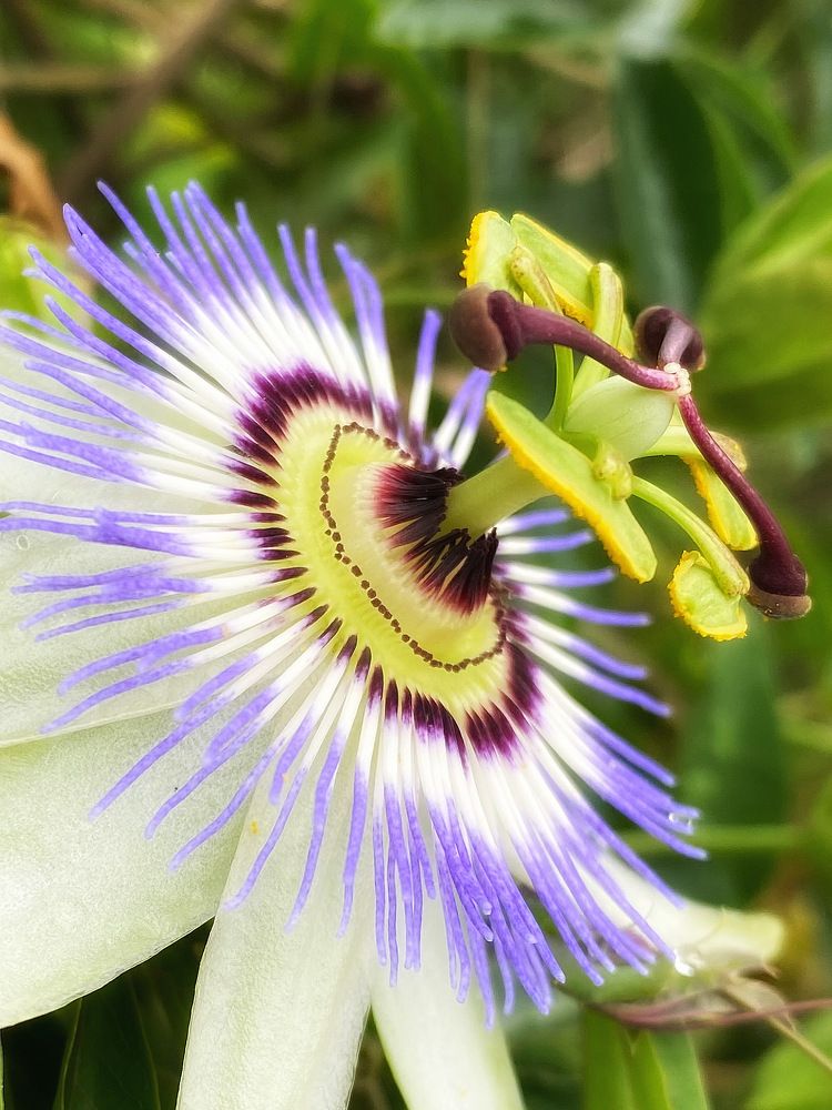 Photograph by Anastasiia