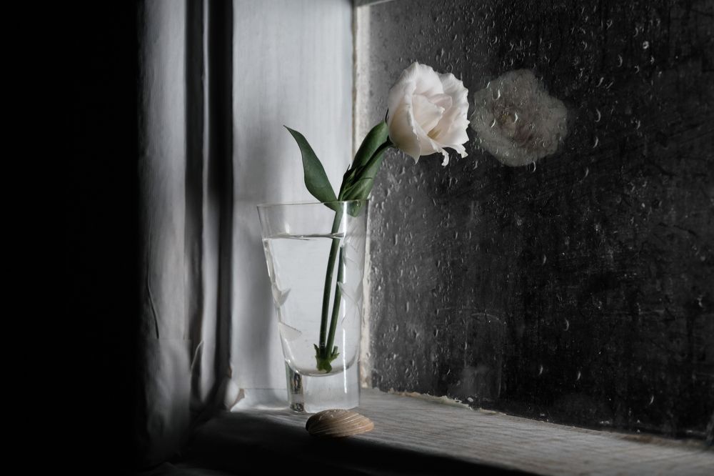 Photograph by Тим Мартынов