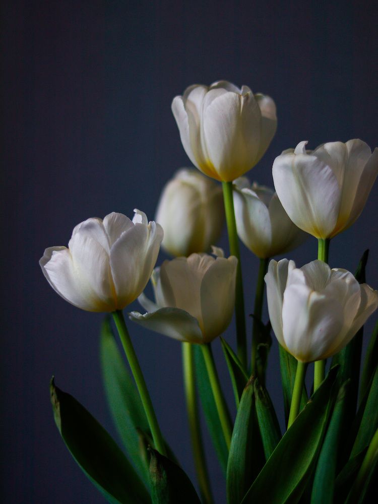 Photograph by Екатерина Слепнева