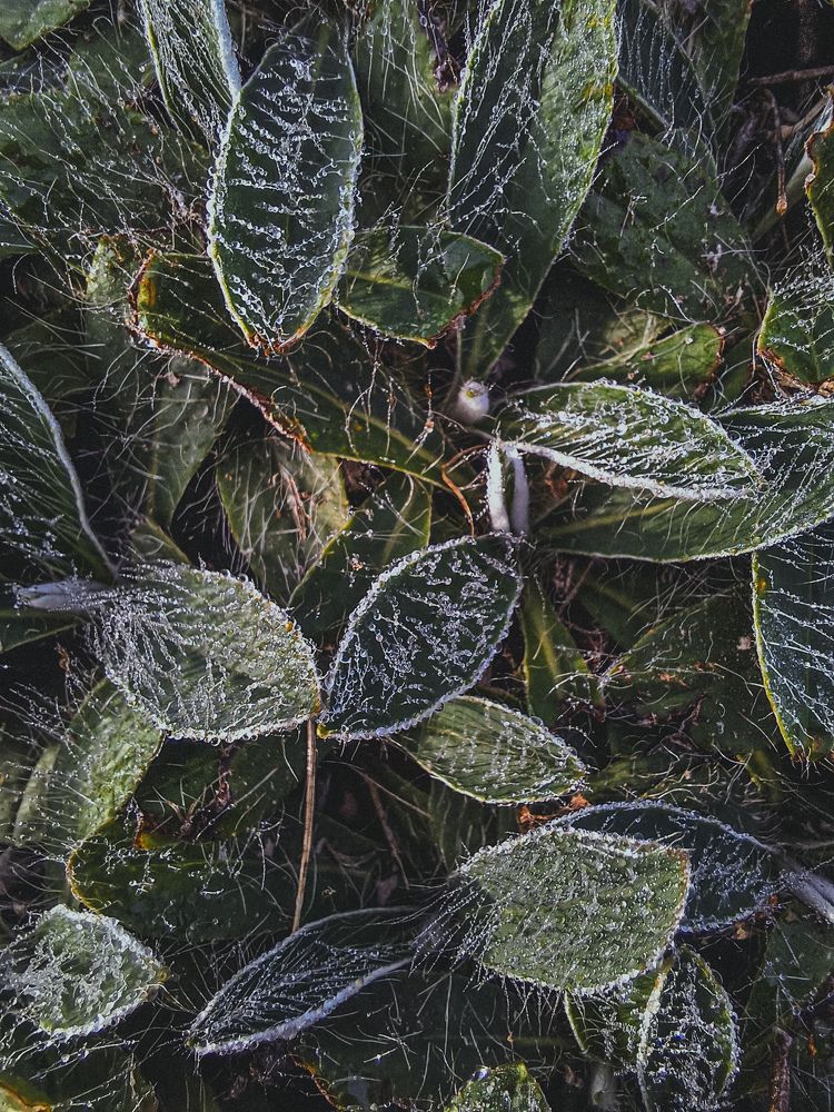 Photograph by Анна Жебуртович
