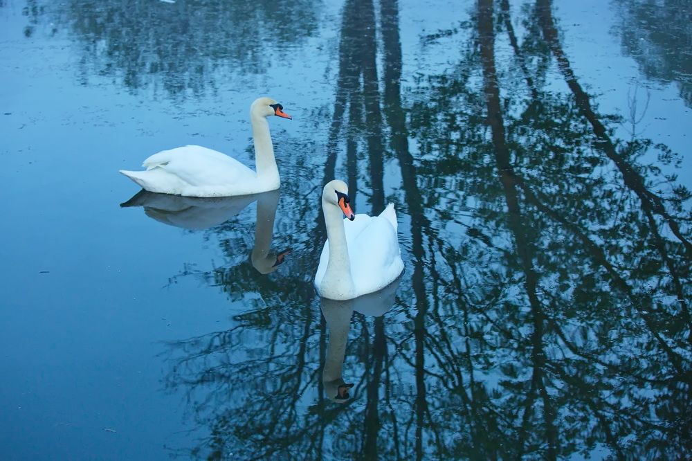 Photograph by Олег Раков