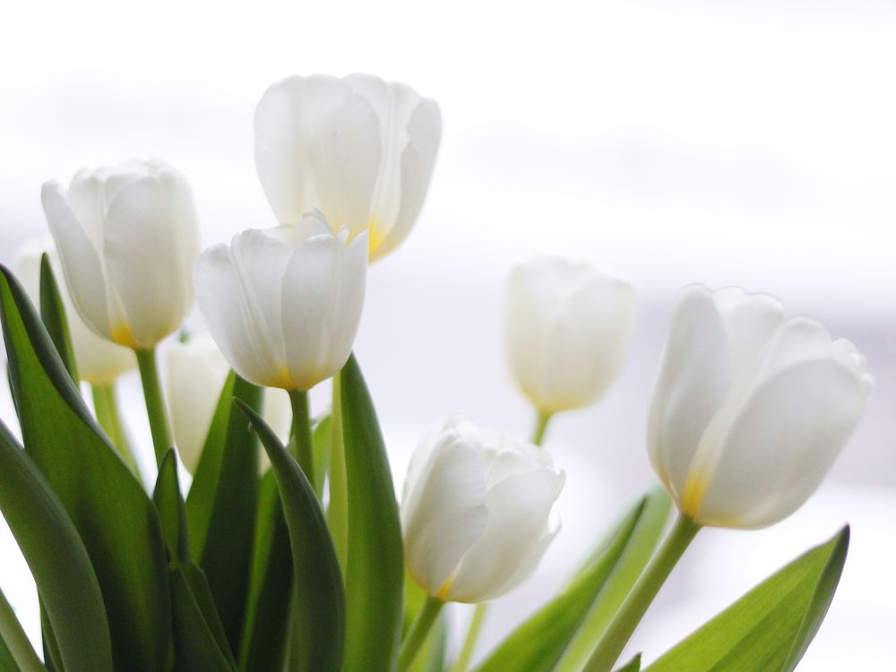 Photograph by Екатерина Слепнева