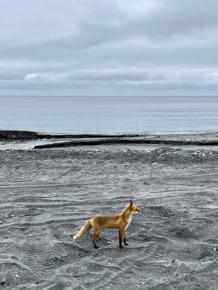Photograph by Всеволод Свешников