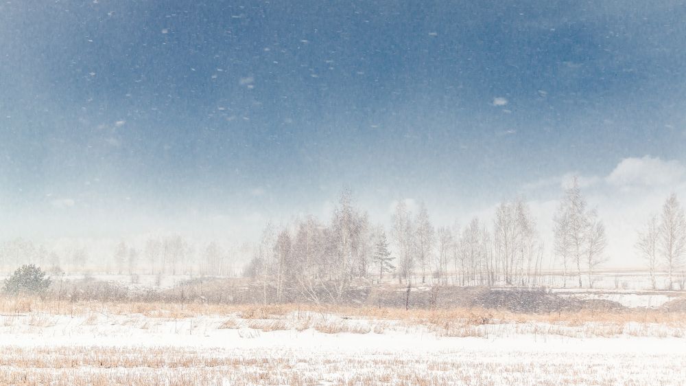 Мартовская пурга