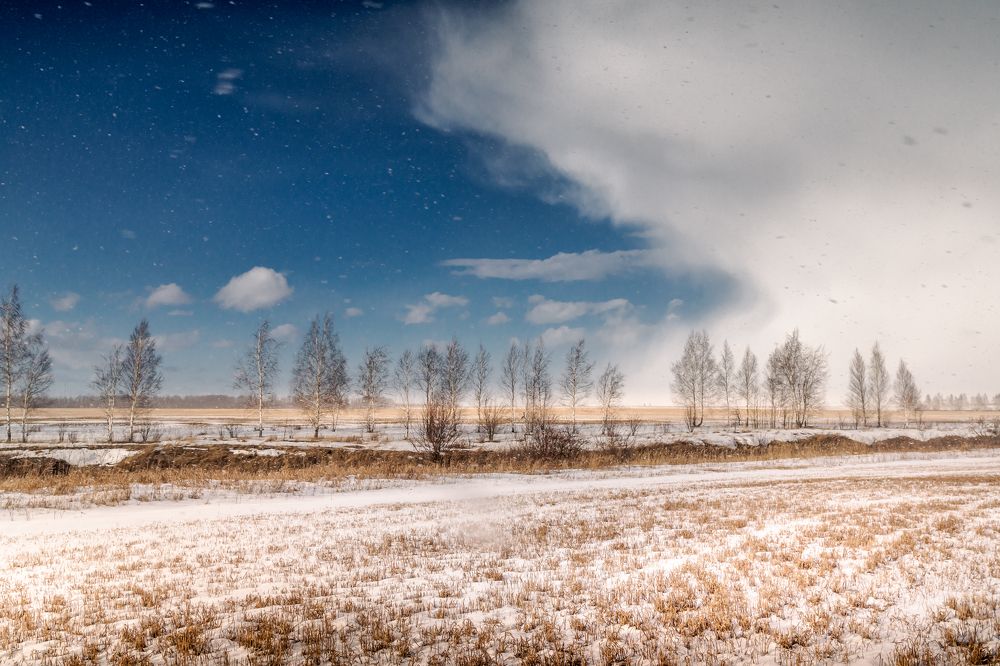 Мартовская пурга