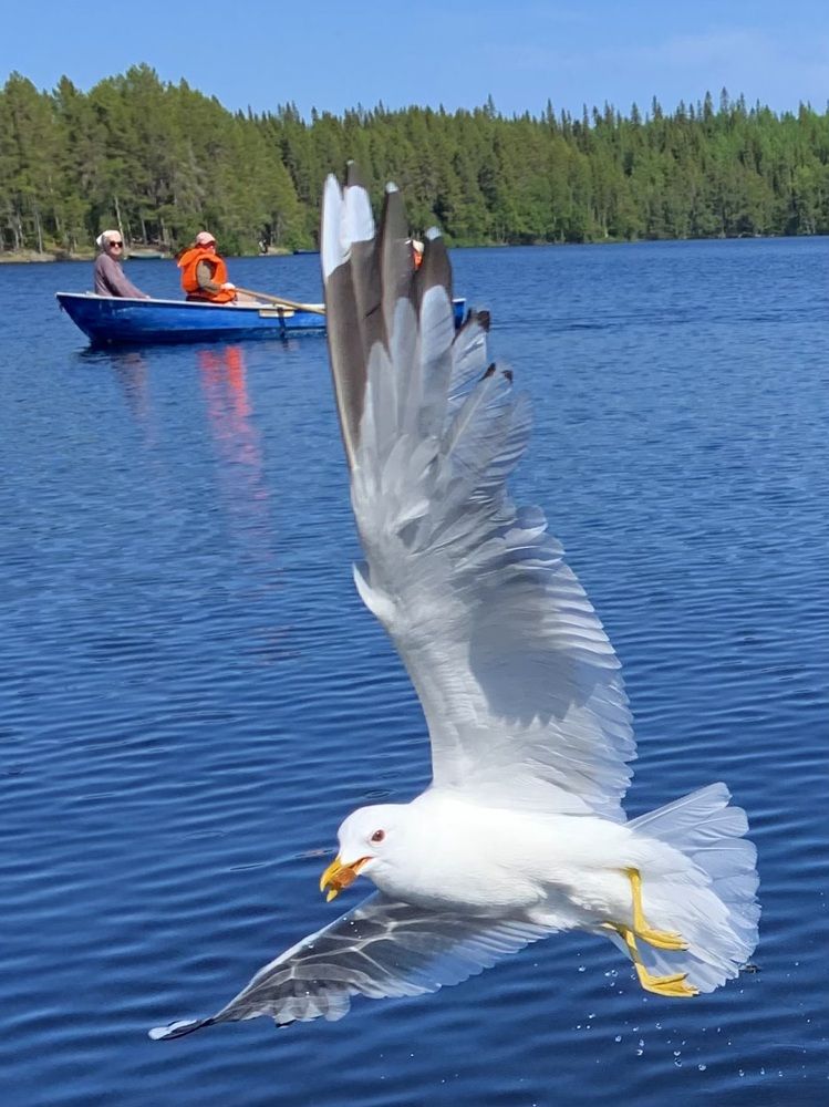 Photograph by Наталья Бирук