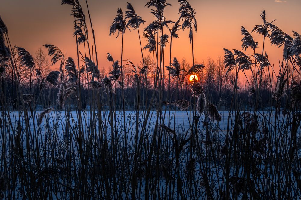 Рассвет на реке Воронеж