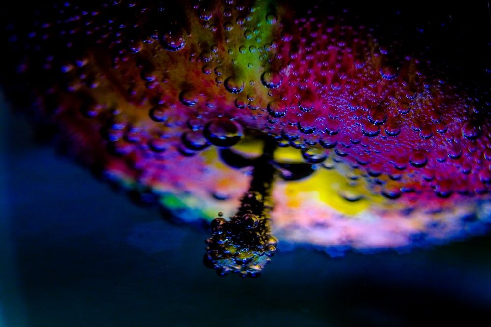 Photograph by Андрей Михайлин