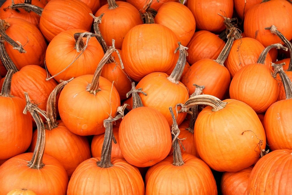 Photograph by Зорин Миша