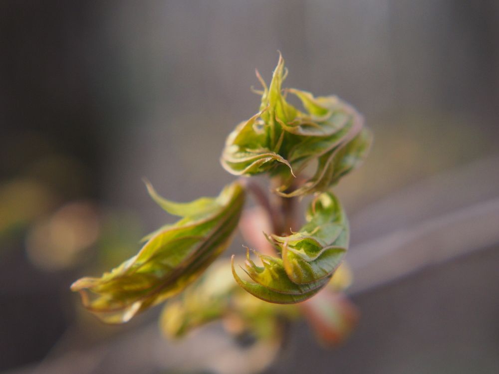 Photograph by Андрей Михайлин