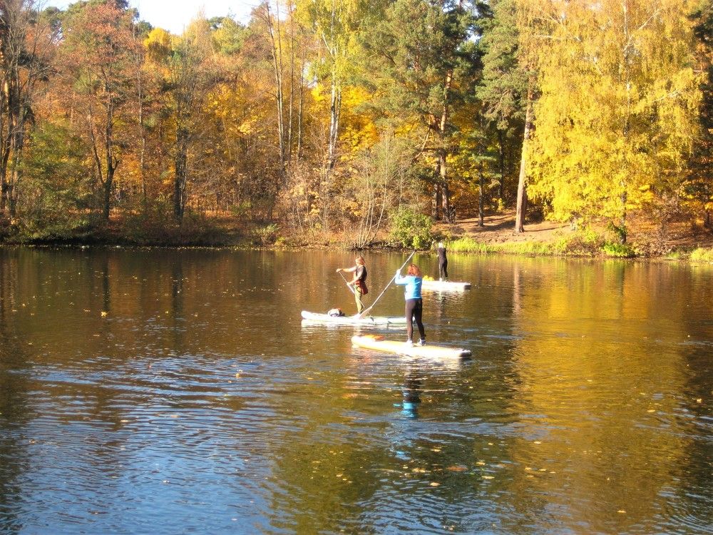 Photo #9495666