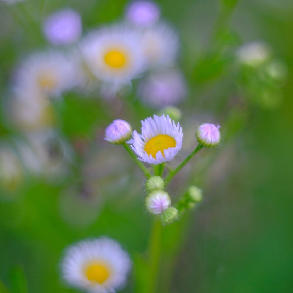 Photograph by Андрей Михайлин