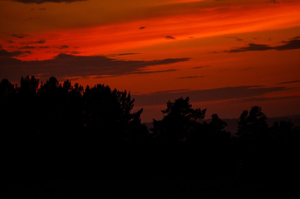 Photograph by Елена Коновалова