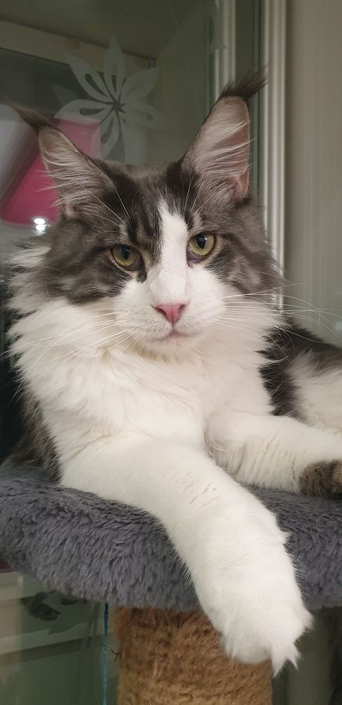 Фотография автора Татьяна Канашина