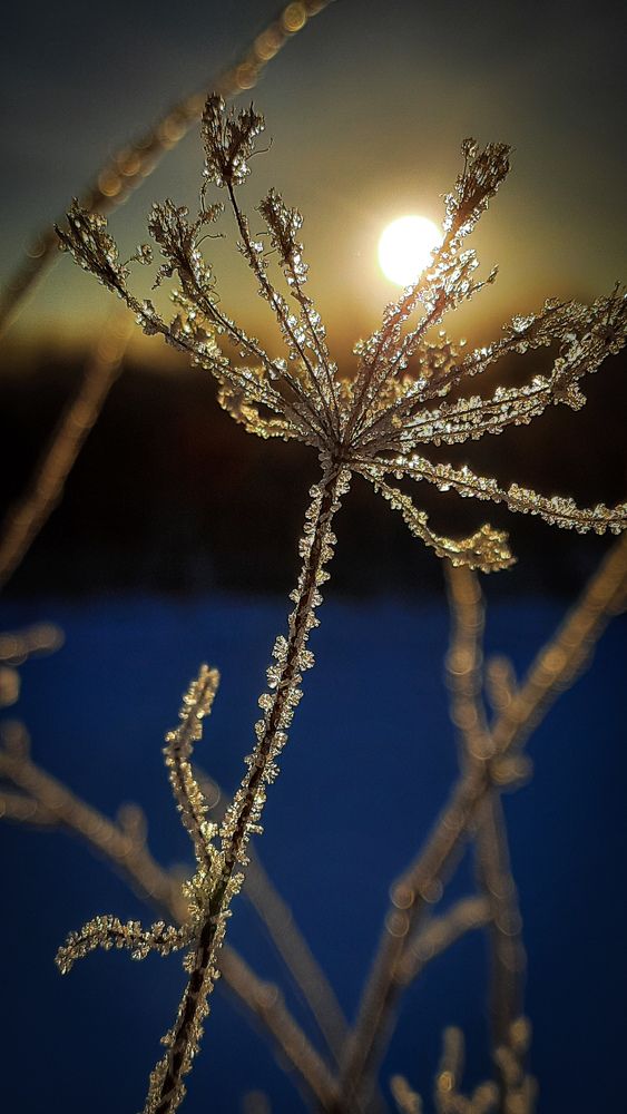 Photograph by Alex Yudnikov